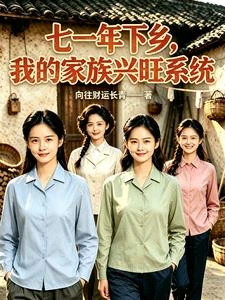 七一年下鄉,我的家族興旺系統 封面