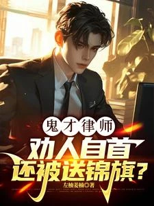 鬼才律師:勸人自首還被送錦旗? 封面