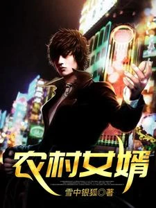 農村女婿 封面