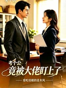 考個公，竟被大佬盯上了 封面