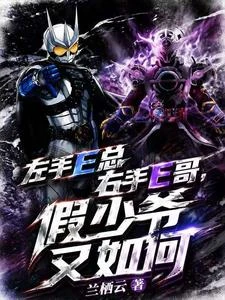 左手E總右手E哥,假少爺又如何 封面