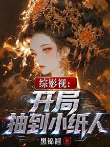 綜影視:開局抽到小紙人 封面