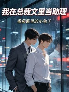我在總裁文里當助理 封面