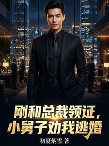 剛和總裁領證，小舅子勸我逃婚 封面