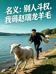 《名義:別人斗權,我薅趙瑞龍羊毛》封面