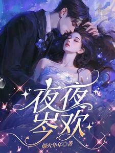 夜夜岑歡 封面