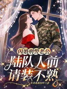 閃婚刑警老公，陸隊人前請裝不熟 封面