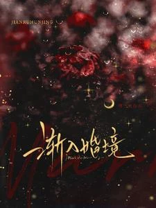 漸入婚境 封面