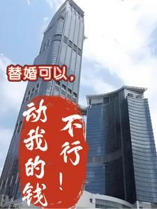 替婚可以,動我的錢不行! 封面