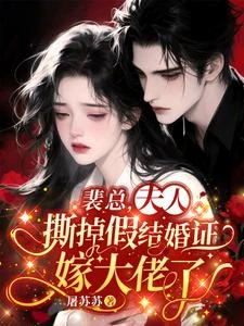 裴總,夫人撕掉假結婚證嫁大佬了 封面