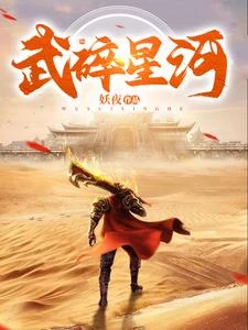 武碎星河 封面