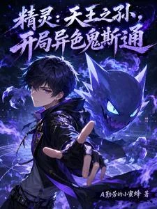精靈:天王之孫,開局異色鬼斯通 封面