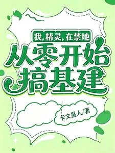 我,精靈,在禁地從零開始搞基建 封面