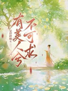 《有美人兮,不可求》封面