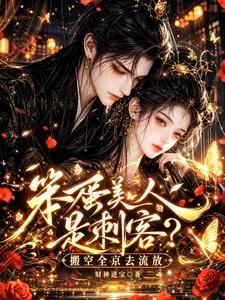 笨蛋美人是刺客？搬空全京去流放 封面
