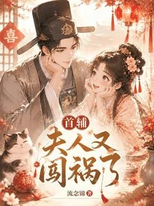 首輔,夫人又闖禍了 封面