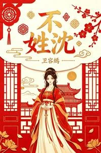 不姓沈 封面