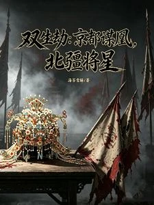 雙生劫:京都謀凰,北疆將星 封面