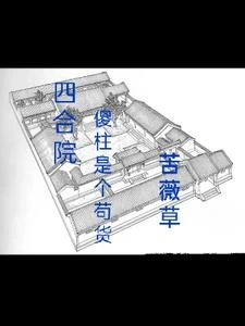 四合院:傻柱是個苟貨 封面