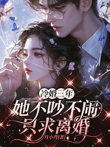 冷婚三年，她不吵不鬧只求離婚 封面