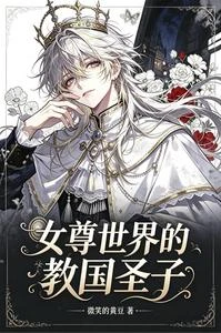 女尊世界的教國聖子 封面