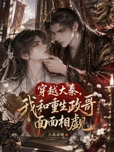 穿越大秦,我和重生政哥面面相覷 封面