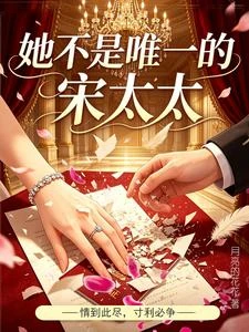 她不是唯一的宋太太 封面