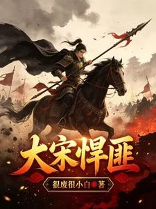 大宋悍匪 封面