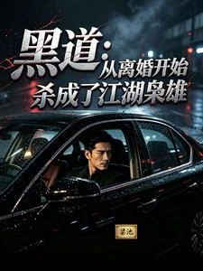 黑道,從離婚開始殺成了江湖梟雄 封面