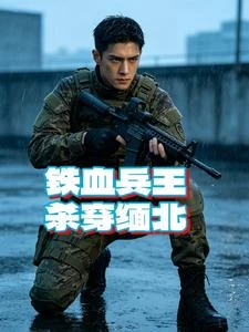 鐵血兵王殺穿緬北 封面