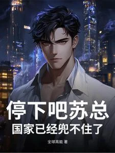 停下吧蘇總,國家已經兜不住了! 封面