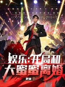娛樂:開局和大蜜蜜離婚 封面