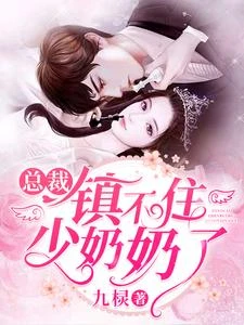 總裁鎮不住少奶奶了 封面