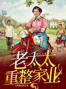 重生八零:老太太重整家業 封面