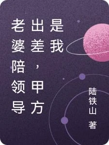 老婆陪領導出差，甲方是我 封面
