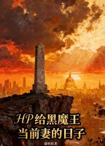 《HP給黑魔王當前妻的日子》封面