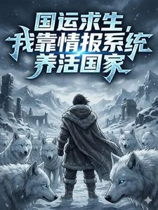 國運求生,我靠情報系統養活國家 封面