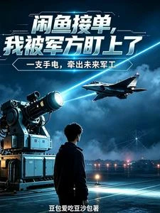 閑魚接單,我被軍方盯上了 封面