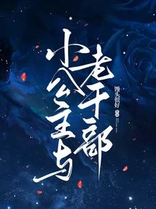 小公主與老幹部 封面
