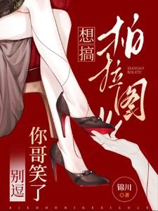 《想搞柏拉圖?別逗你哥笑了》封面