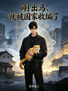剛出馬,就被國家收編了 封面