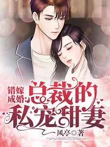 錯嫁成婚:總裁的私寵甜妻 封面