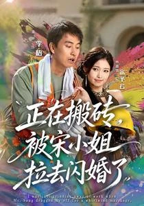 正在搬磚,被宋小姐拉去閃婚了 封面