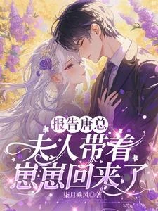 唐總，夫人偷偷生崽了 封面