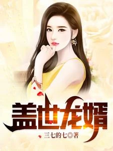 蓋世龍婿 封面