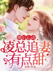 婚後心動：凌總追妻有點甜 封面