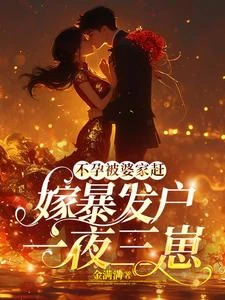 不孕被婆家趕，嫁暴發戶一夜三崽 封面