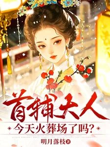 首輔大人今天火葬場了嗎? 封面