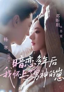 暗戀多年後我懷上了男神的崽 封面