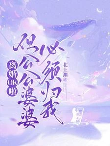 離婚OK啦,但公公婆婆必須歸我 封面